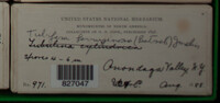Image Associated With the Occurence
